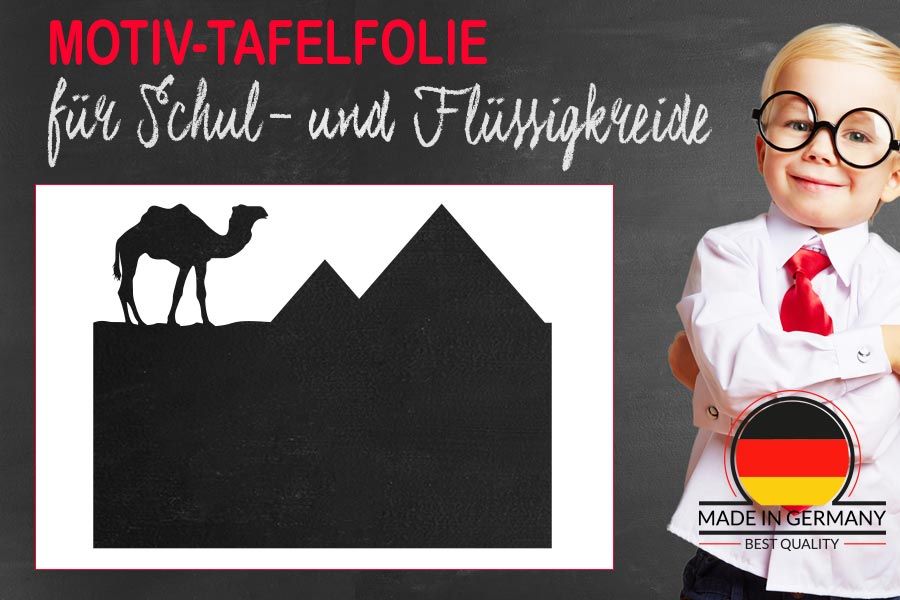 Motiv Tafelfolie Pyramiden mit Dromedar als Kreidetafel